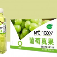 小輕果語葡萄果肉復合果汁飲料 488ml×15瓶